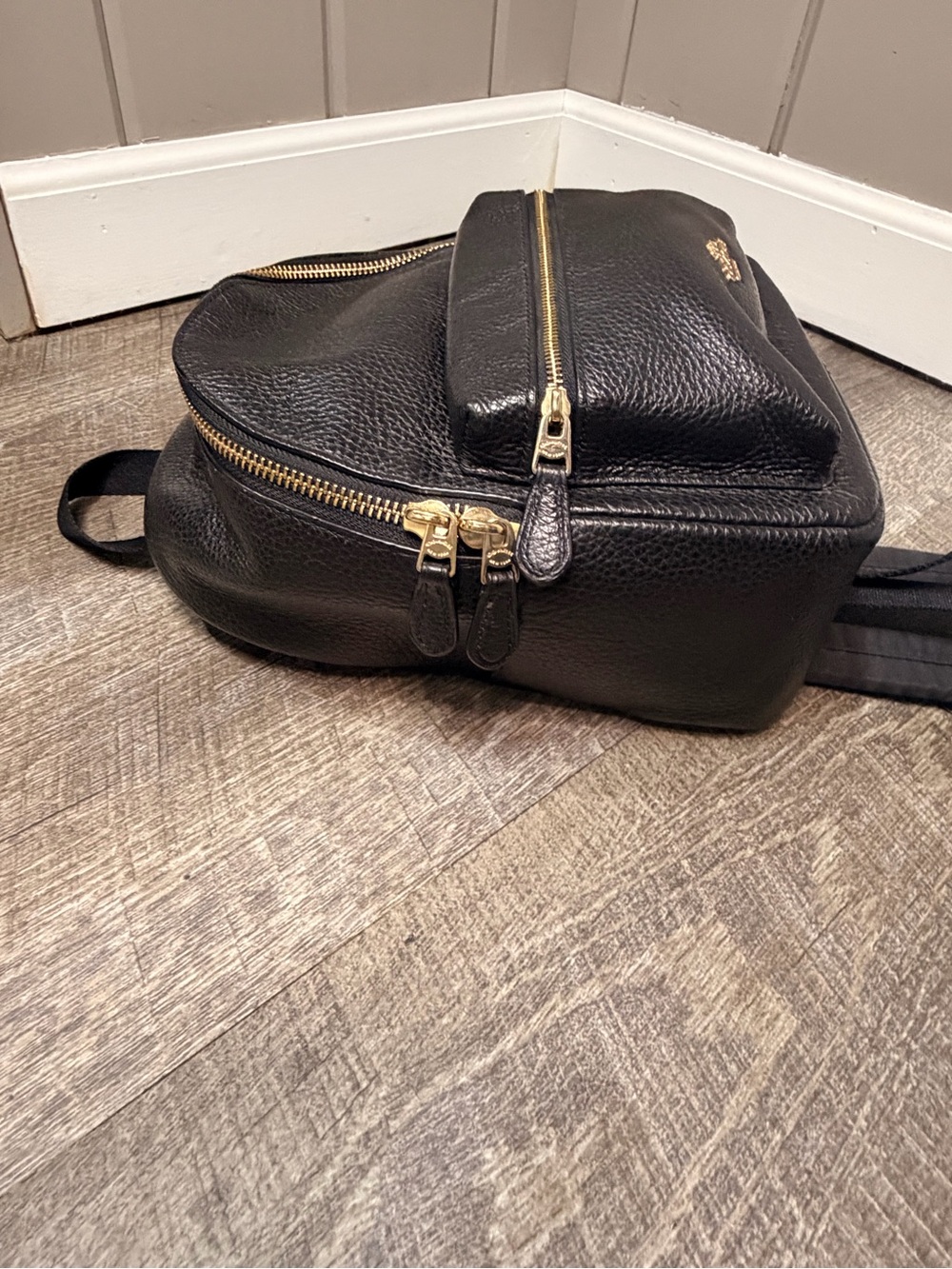 Coach Black Pebbled Leather Mini Charlie Backpack with Gold-Tone Hardware F28995 - Picture 4 of 12